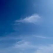 SHの画像