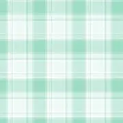 ミントの画像
