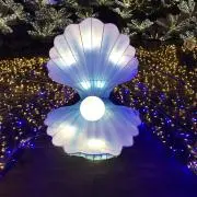 キラリ✨断捨離の画像