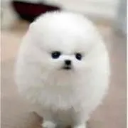 ひろりん  即購入不可^ ^