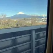 薬師寺の画像