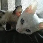 ★yu&ke★