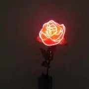 あんじゅ◡̈♥︎