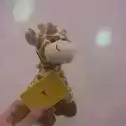 puruimo