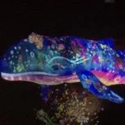 INEDITの画像