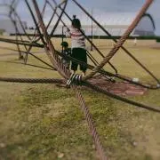 ふうたろ/即日発送の画像