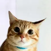 レトロおじさん(^^)