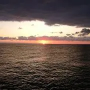 yunakoyaの画像