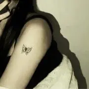 M.mamの画像