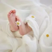もりりんごの画像