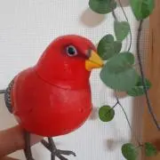 かずぉ（おまとめ200円引き）の画像