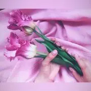 pepeの画像