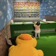ふーちゃんの画像