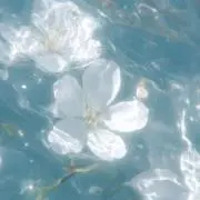 ♡の画像