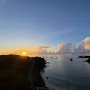 はなの画像