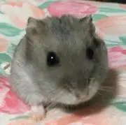 ♡A♡(〝⌒∇⌒〝)♡ (〃⌒ー⌒〃)♪