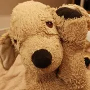 Yちゃんの画像