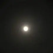 ☆HANA☆の画像