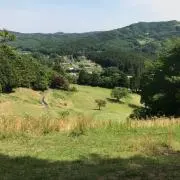 カズの画像