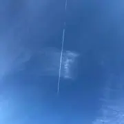 まるりの画像