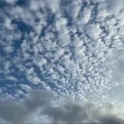 プロフ一読ください！の画像