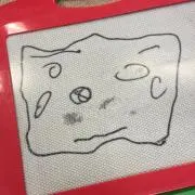 ここみんの画像