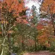 ムーミン谷に住みたいの画像