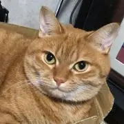 オカジマ