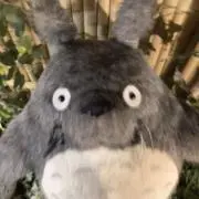 ぺえの画像