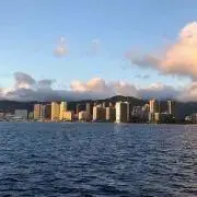 ちゃちゃの画像