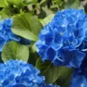 エナメル線の画像