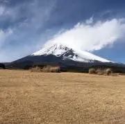 niuniuの画像