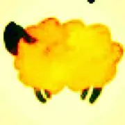 まひるの画像