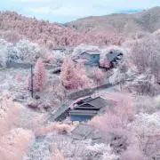 Hiroyuki Yoshida