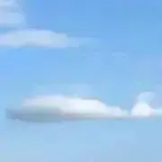 クジラっ子の画像