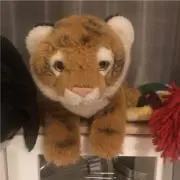 さぶちゃんの画像