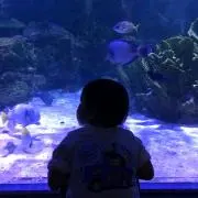 蓮mama☆プロフ必読