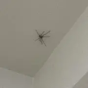 プロフ確認大事