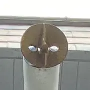 MSNGショップ