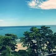 湘南の風の画像