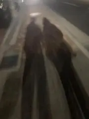 みんみんの画像