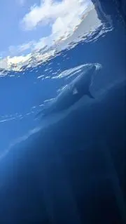 azukinaの画像