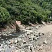 大和-引退