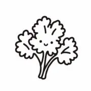 パセリ~断捨離中~の画像
