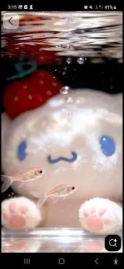 ひるの画像