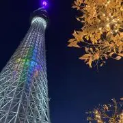 ssjysの画像