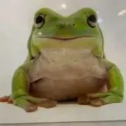 月が綺麗ですねの画像