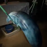 かんなの画像