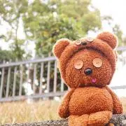 antの画像