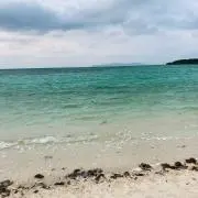 おぐらの画像
